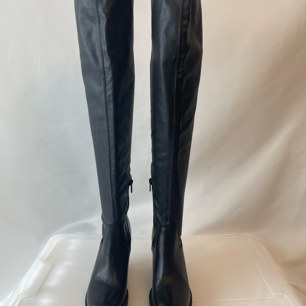 Italian thigh high over knee concealed wedge boots.
